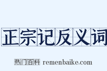 正宗记反义词是什么意思的图片